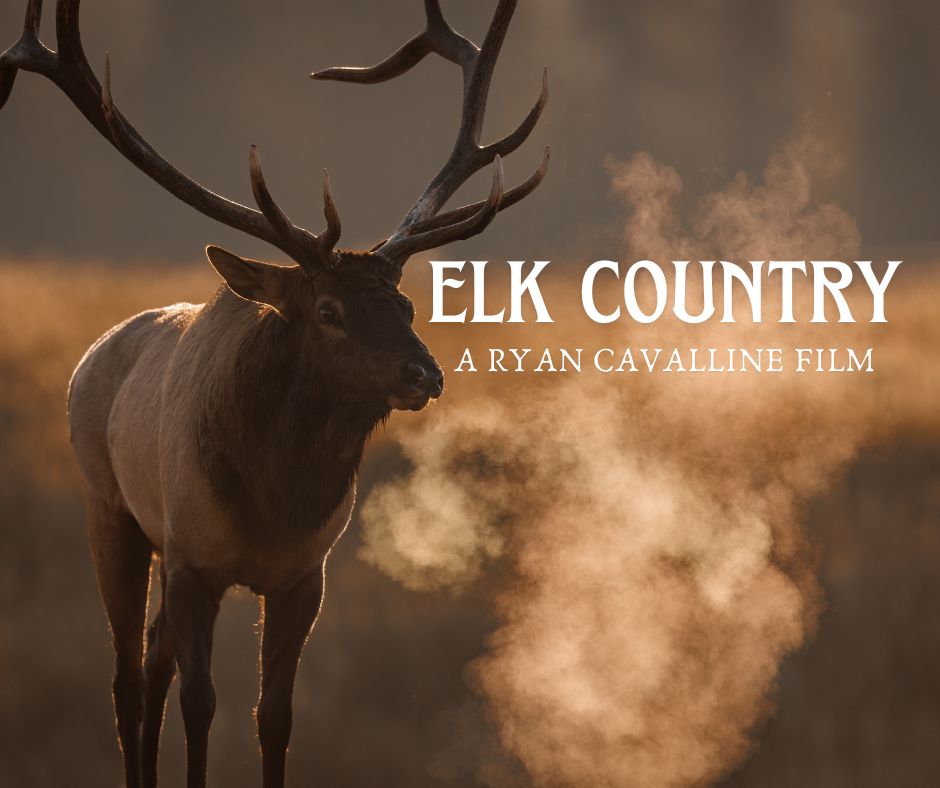 Elk Country (2025) Movie