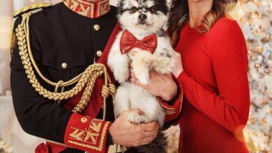 A Royal Christmas Tail (2025)