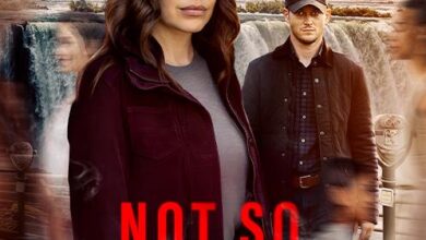 Not So Perfect Stranger (2025)