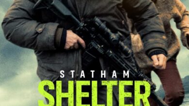 Shelter (2026)