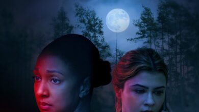 The Perfect Killer (2025)