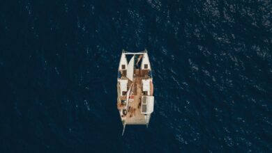 Women & The Wind (2025)