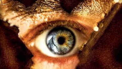 Return to Silent Hill (2026)