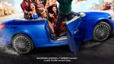 De De Pyaar De 2 (2025) netnaijaÂ