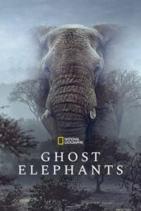 Ghost Elephants (2025)