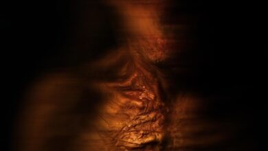 No Me Sigas (2025) netnaija