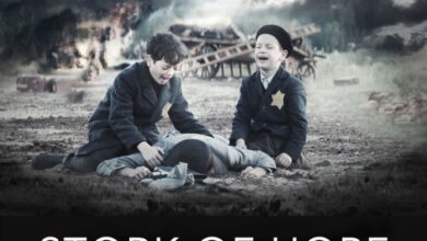 Stork of Hope (2025) netnaija