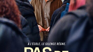 The Good Teacher (Pas De Vagues) (2024) netnaija