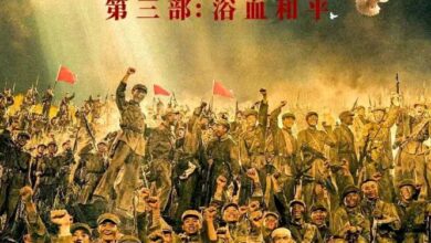 The Volunteers: Peace at Last (2025) netnaija