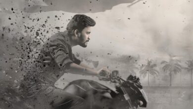 Vanaveera (2026) netnaija